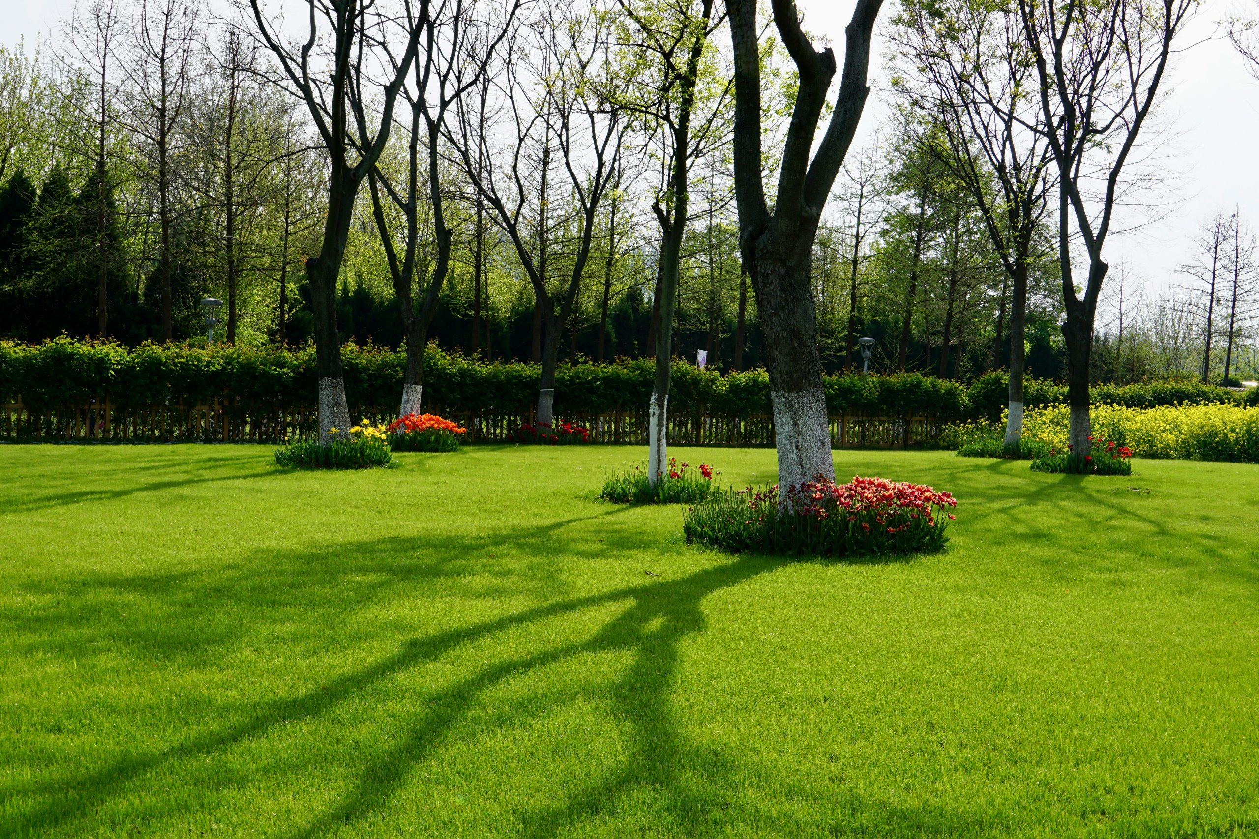Artificial Landscaping Services